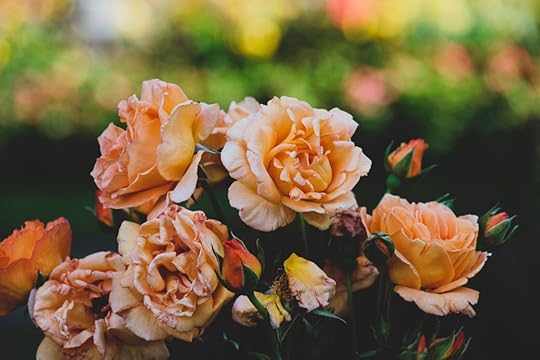 Sharon Wray's Deadly Force series birthday blog photo of roses