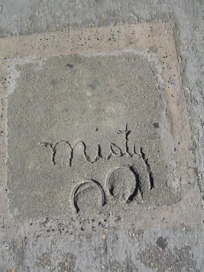 Misty's Hoofprints