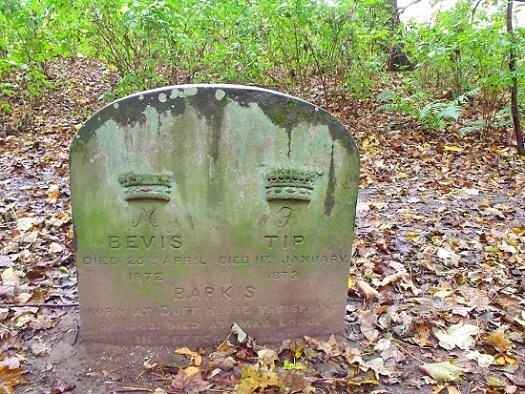 dog grave