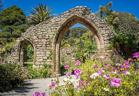 Pink and white flowers fill a corner of this image, framing the two ruined arches of the old Abbey on Tresco, Isles of Scilly. Tropical palm trees and other lush plants surround the ruins.