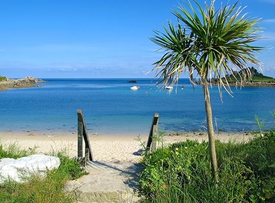 Old town beach with palm tree in St. Mary's, Isles of Scilly