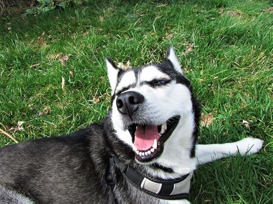 May be an image of 1 person, dog and outdoors