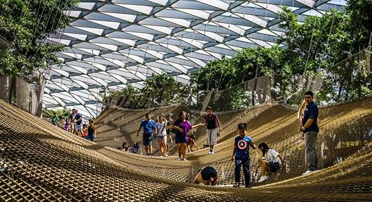 Changi Airport Nets