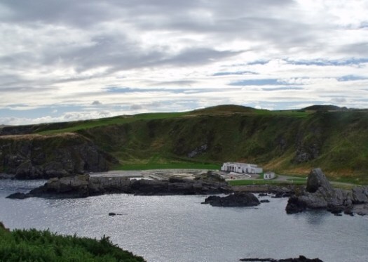 Tarlair as seen from the cliffs above today