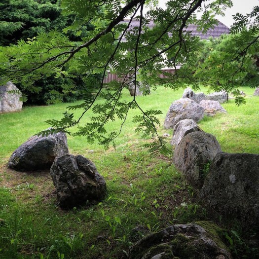 Under the rowan tree
