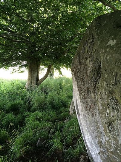 stone under tree
