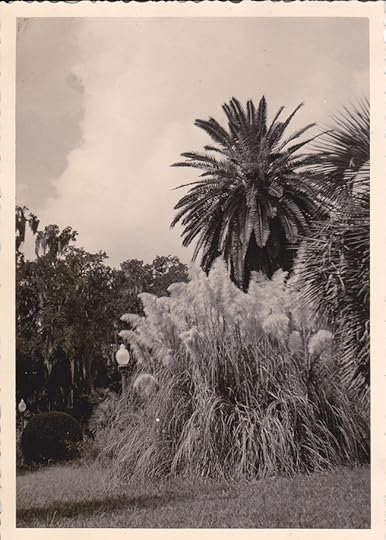Elysian Fields Ave, New Orleans 1956