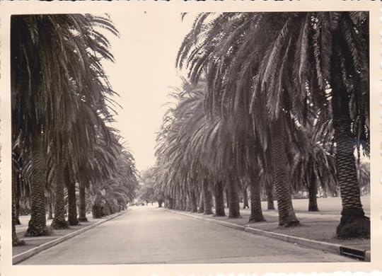 Park, New Orleans 1956