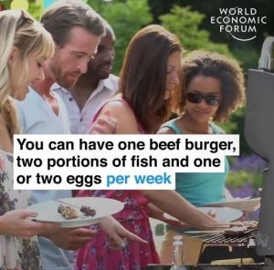WEF limit protein foods
