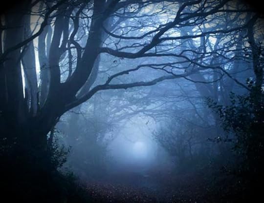 spooky forest