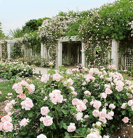 18 Creative Small Garden Ideas - Indoor and Outdoor Garden Designs for Small Spaces