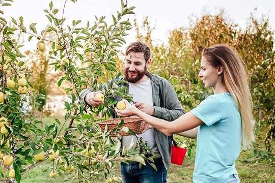 couple picking apples
