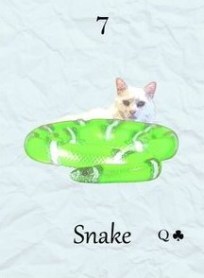 Snake Lenormand