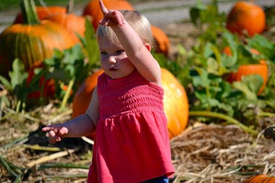 What’s Not to Love? – Six Things to Make You Fall for Fall ~ catmichaelswriter.com