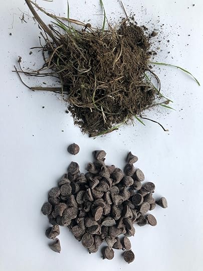 dirt & chocolate chips.jpeg