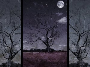 Alone