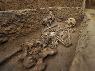 Giant Remains foudn in China