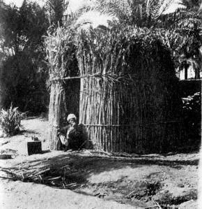 This image, from the Oriental Institute, University of Chicago, is of a reed and mud hut, perhaps the type that would have been built around and Iset of a Deity in an early Egyptian period.