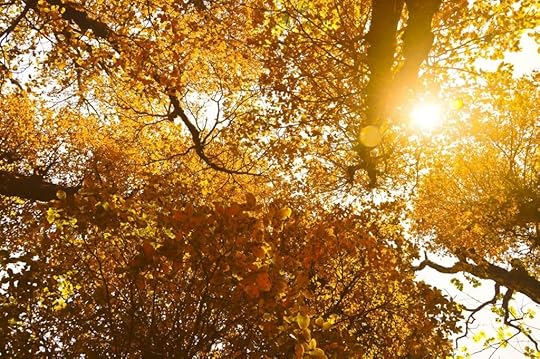 Relax, Let Go, There's Goodness...