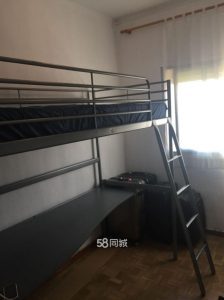 胡飞