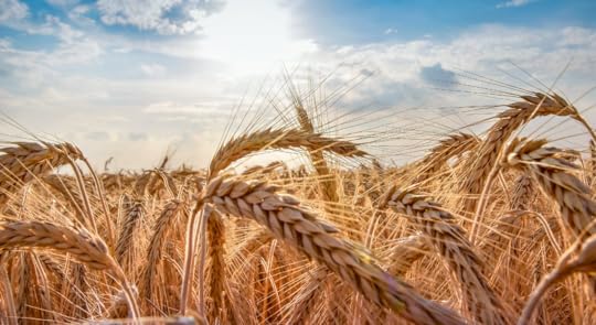 4 Dangers with Today’s Foods - Glyphosate