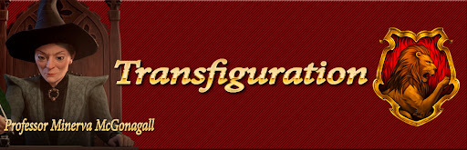 Hogwarts Mystery Transfiguration Class Guide - Hogwarts Mystery School
