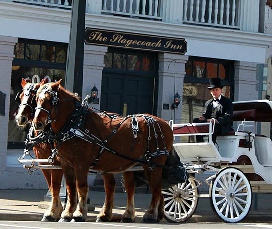Horse-drawn hearse with Marshall Carriage Co. and Ghost Tours in Marshall, MI