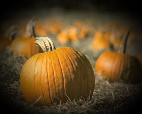 country halloween