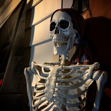 pirate ship skeleton