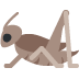 🦗