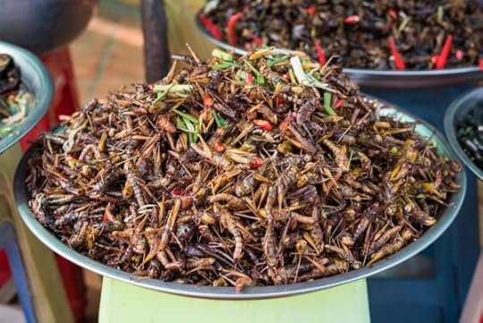 Ý tưởng kinh doanh độc đáo