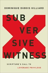 Subversive Witness: Scripture's Call to Leverage Privilege cover image