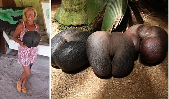 Coco de Mer Janice Horton