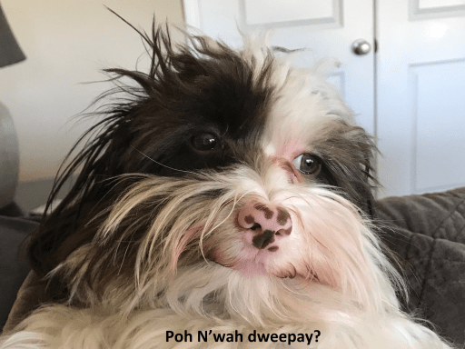 Poh N’wah dweepay?
