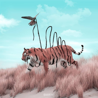 0 tiger