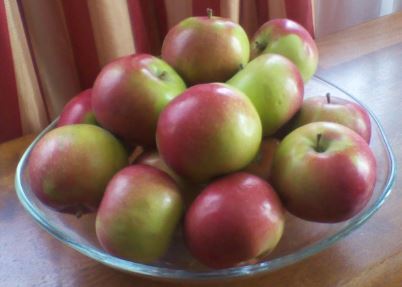 apples bowl