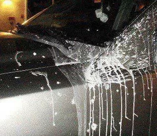 eggs thrown at cars