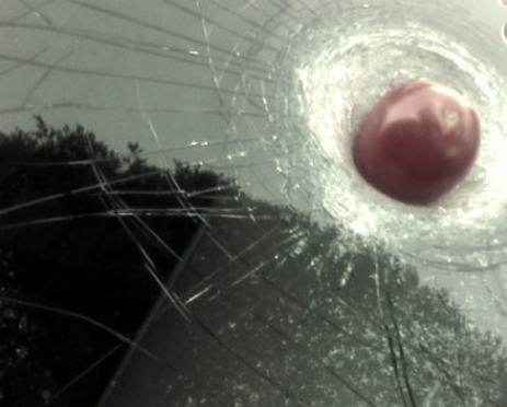 tomato windshield