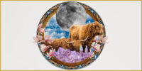 taurus