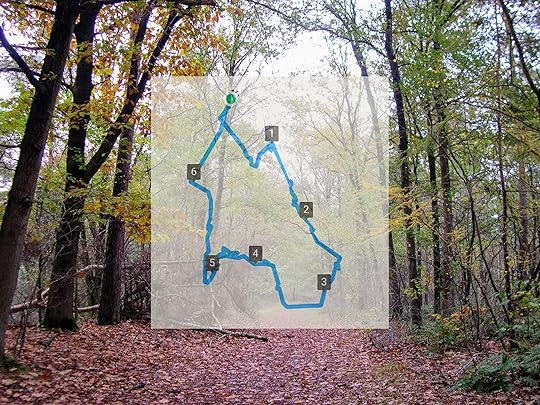 Zondagmiddag Wandeling door Landgoed Pijnenburg en de Utrechtse Heuvelrug
