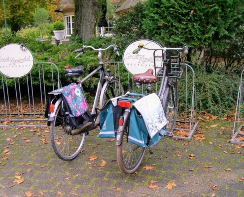 Zondagmiddag Wandeling door Landgoed Pijnenburg en de Utrechtse Heuvelrug