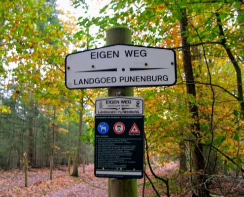 Zondagmiddag Wandeling door Landgoed Pijnenburg en de Utrechtse Heuvelrug