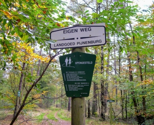 Zondagmiddag Wandeling door Landgoed Pijnenburg en de Utrechtse Heuvelrug