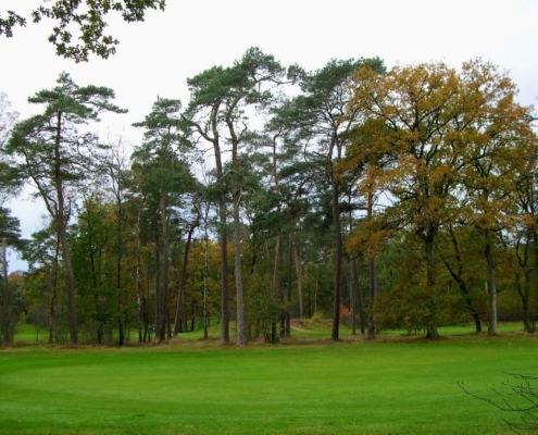 Zondagmiddag Wandeling door Landgoed Pijnenburg en de Utrechtse Heuvelrug