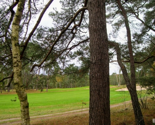 Zondagmiddag Wandeling door Landgoed Pijnenburg en de Utrechtse Heuvelrug