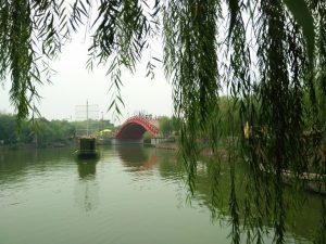 博猫娱乐官网