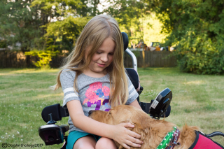 Little girl wheechair dog