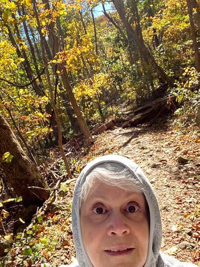 You want to write a novel in 30 days? Good luck with that! ~ catmichaelswriter.com