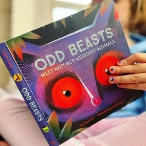 https://thebabybookwormblog.wordpress.com/2021/11/02/odd-beasts-meet-natures-weirdest-animals-laura-gehl/