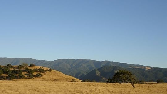 Oak Savanna
